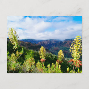 Waimea Canyon   Kauai, Hawaii Postkarte