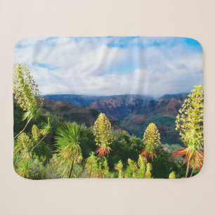 Waimea Canyon   Kauai, Hawaii Sherpadecke
