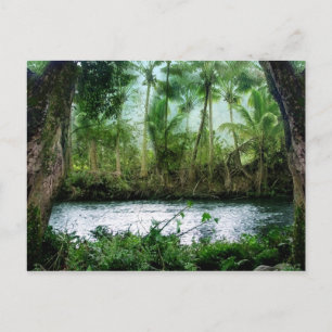 Waipio Valley Postkarte