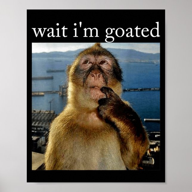 Wait I'm Goated Funny Thinking Monkey Meme Brainro Poster (Vorne)