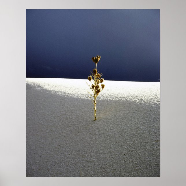 Waiting for Rain Poster (Vorne)