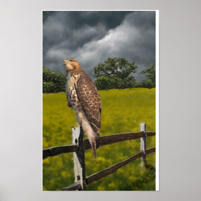Waiting for the Storm - Red tail Hawk Poster (Vorne)