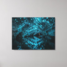 Waitomo Glowworm Galaxy - Biolumineszente Höhlenre