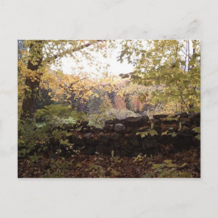 Waitsfield VT Stone Wall Oktober 2010 Postkarte