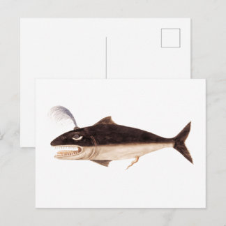 Wal, Cetus (1596-1610) Postkarte