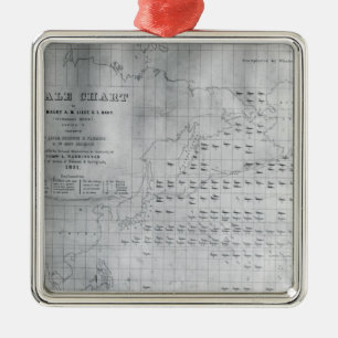 Wal-Diagramm des North Pacific, 1851 Ornament Aus Metall