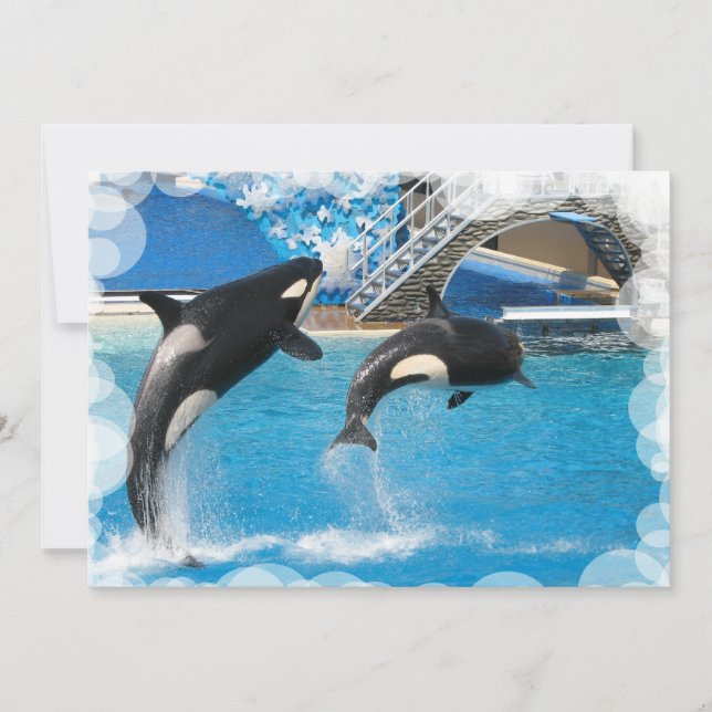 Wal-Einladungs-Postkarte Einladung (Vorderseite)