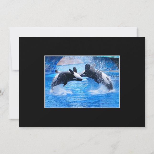 Wal-Foto-Einladung Einladung (Vorderseite)