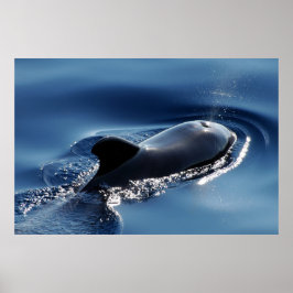 Wal Poster