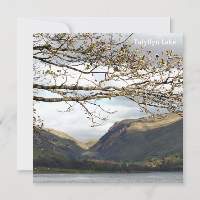 WALANSICHT KARTE (Vorderseite)