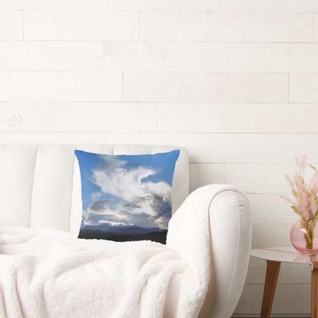 WALANSICHT KISSEN (Liege)