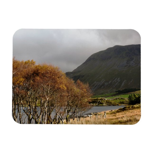 WALANSICHT MAGNET (Horizontal)