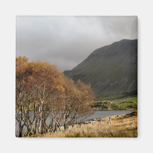 WALANSICHT MAGNET (Vorne)