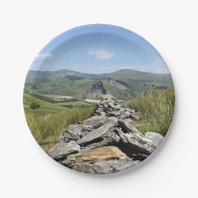 WALANSICHT PAPPTELLER (Vorderseite)