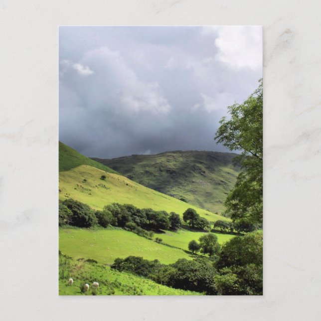 WALANSICHT POSTKARTE (Vorderseite)