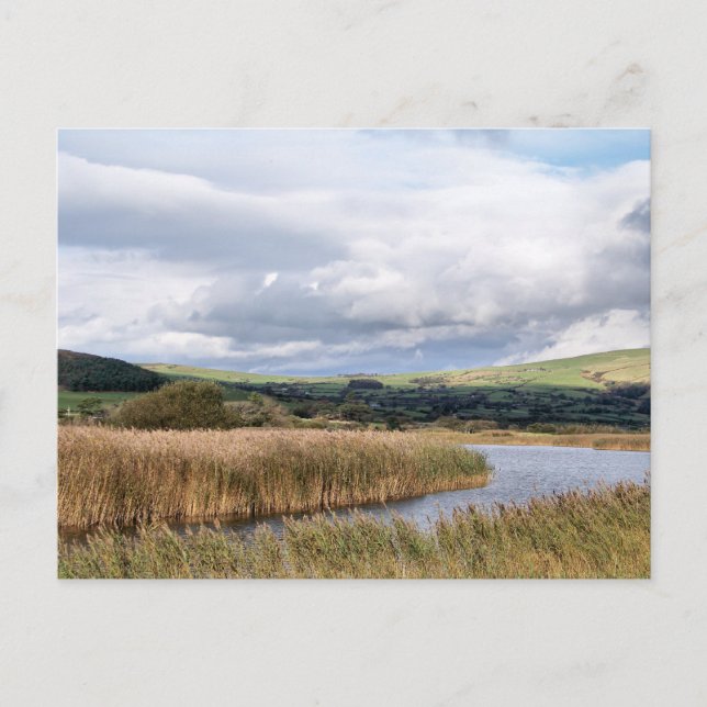 WALANSICHT POSTKARTE (Vorderseite)