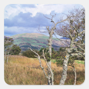 WALANSICHT QUADRATISCHER AUFKLEBER