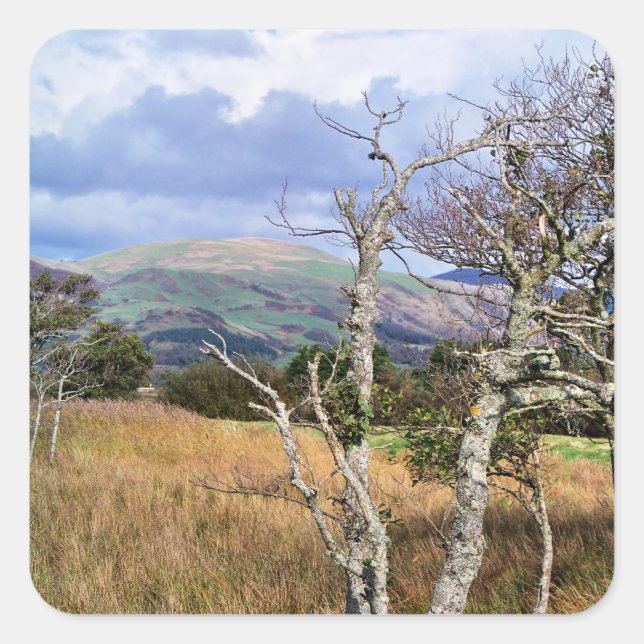 WALANSICHT QUADRATISCHER AUFKLEBER (Vorderseite)