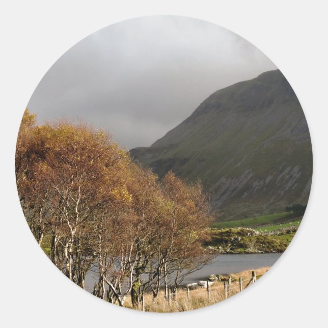 WALANSICHT RUNDER AUFKLEBER (Vorderseite)