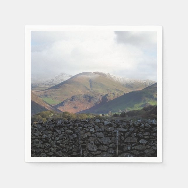 WALANSICHT SERVIETTE (Vorderseite)