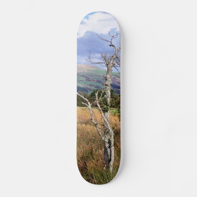WALANSICHT SKATEBOARD (Vorderseite)