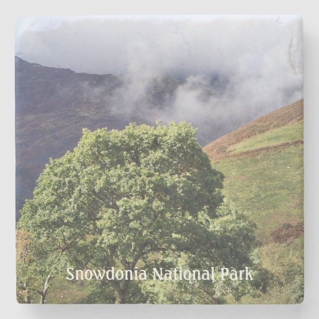 WALANSICHT STEINUNTERSETZER (Vorderseite)