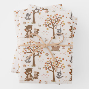 Wald-Baby-Bären Eichhörnchen Waschbär Baby Shower Geschenkpapier Set