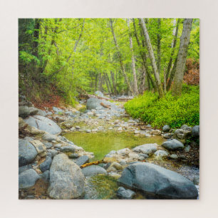 Wald Bach Natur Landschaftsfoto Kunst Druck