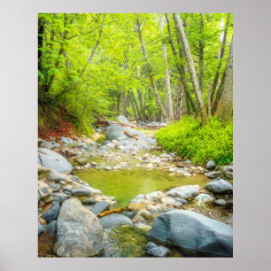 Wald Bach Natur Landschaftsfoto Kunst Druck Poster