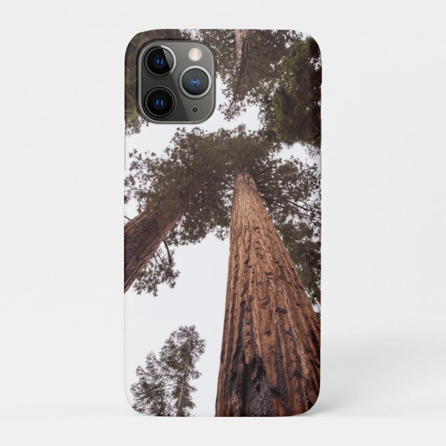 Wald, Baum Case-Mate iPhone Hülle (Rückseite)