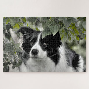 Wald Border Collie 1014 Teile