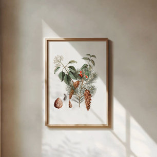 Wald Botanik – Kiefernzapfen und Beeren  Poster