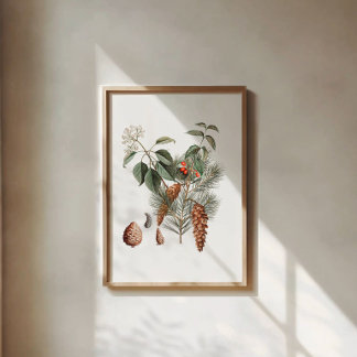Wald Botanik – Kiefernzapfen und Beeren  Poster