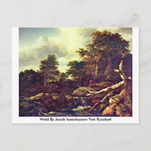 Wald by Jacob Isaackszoon Van Ruisdael Postkarte