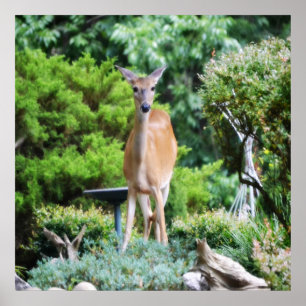 Wald Deer Poster