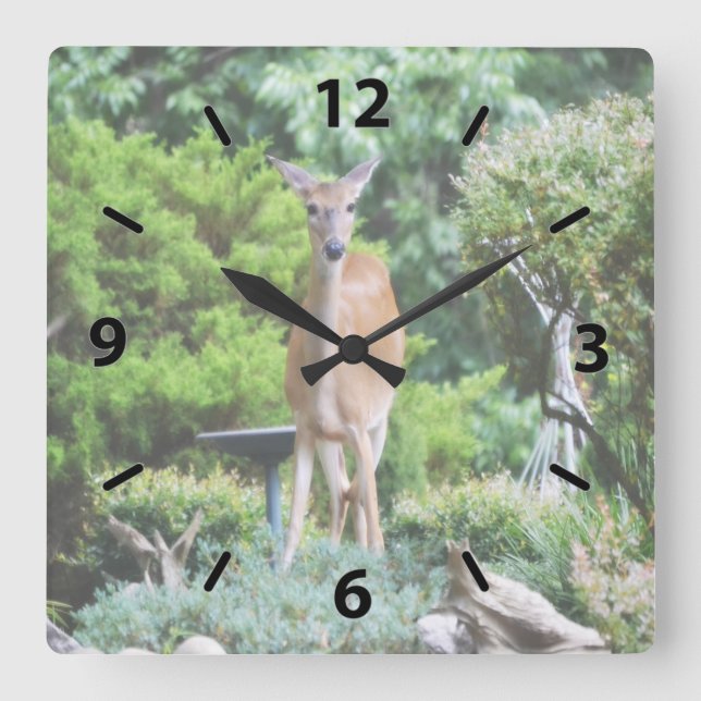 Wald Deer Quadratische Wanduhr (Vorderseite)