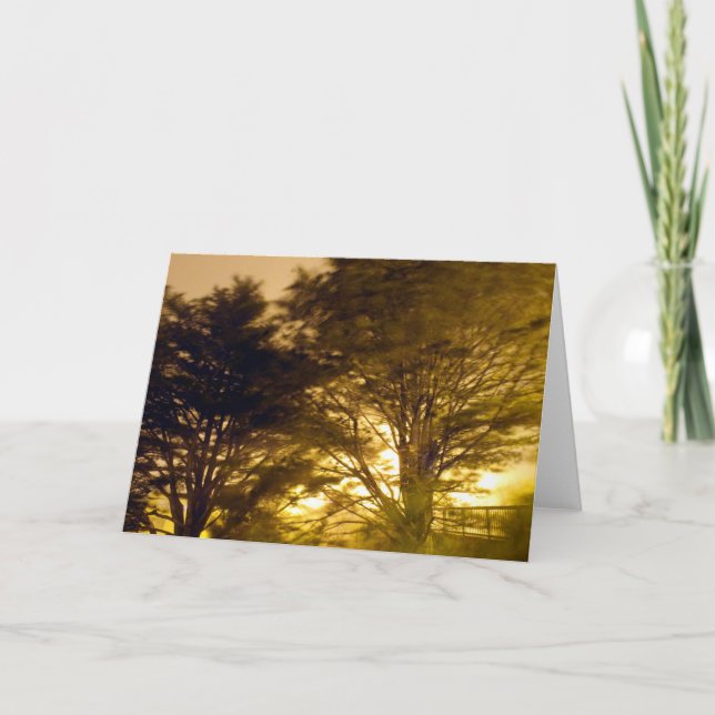 Wald der Furien Karte (Vorderseite)