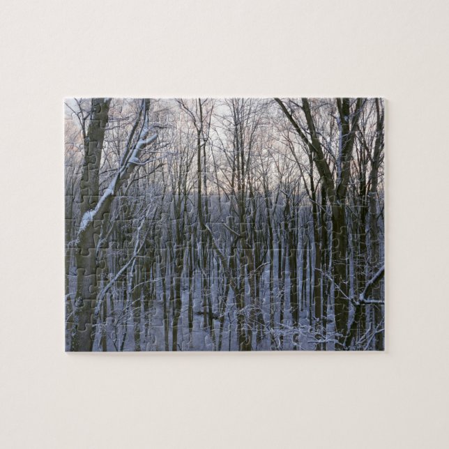Wald der schneebedeckten Bäume (Horizontal)
