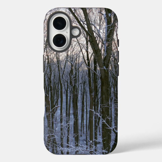 Wald der schneebedeckten Bäume iPhone 16 Hülle (Rückseite)