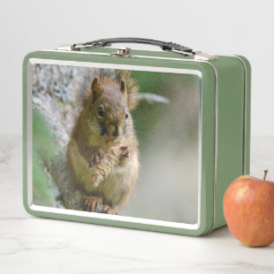 Wald Eichhörnchen – Wildlife-Fotografie Metall Brotdose