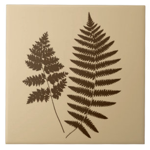 Wald-Farn, Beige und Dunkelbraun Fliese