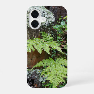 Wald-Farn-Grün-Natur-Handyhülle iPhone 16 Hülle