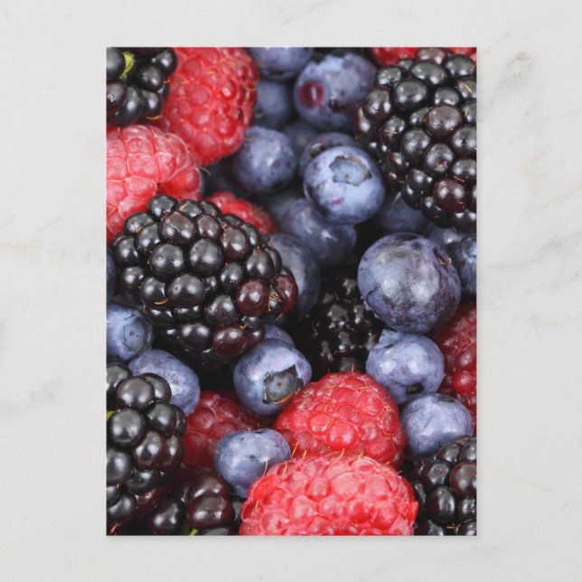 Wald-Frucht Hintergrund Postkarte (Vorderseite)
