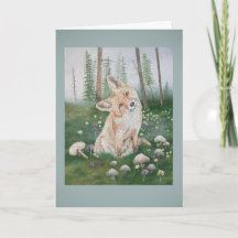 Wald Fuchs