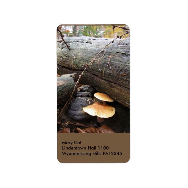 Wald Fungi #3 Adressaufkleber (Vorne)