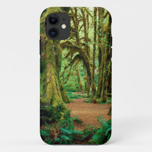 Wald Hall der Moose olympisch title_seo2
