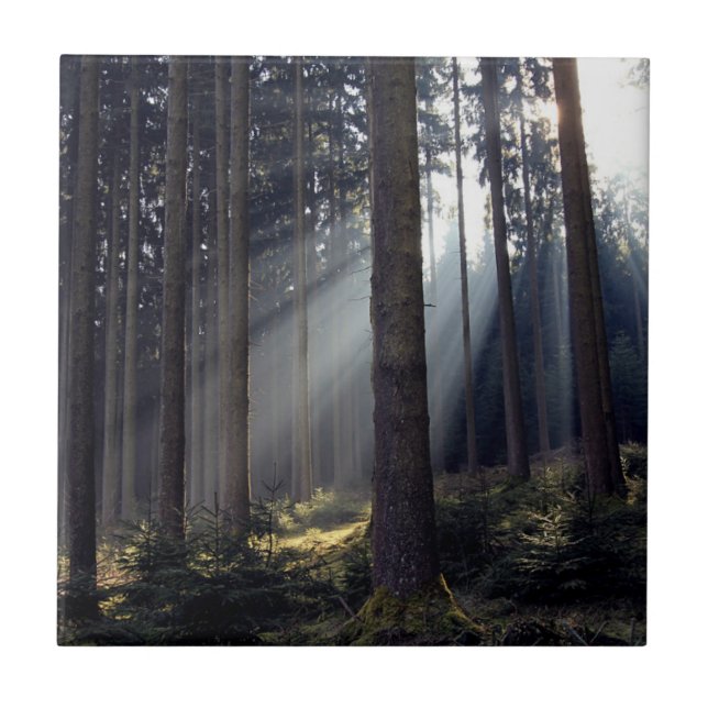 Wald im Bayern Fliese (Vorderseite)