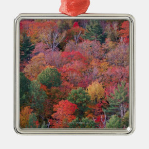 Wald im Herbst mit Herbstlaub.  Algonquin Silbernes Ornament