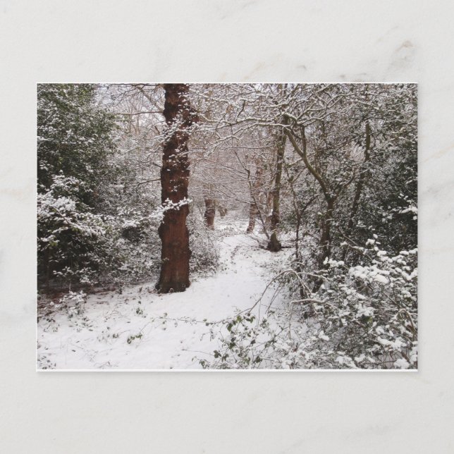 Wald im Schnee aussteigen. Postkarte (Vorderseite)
