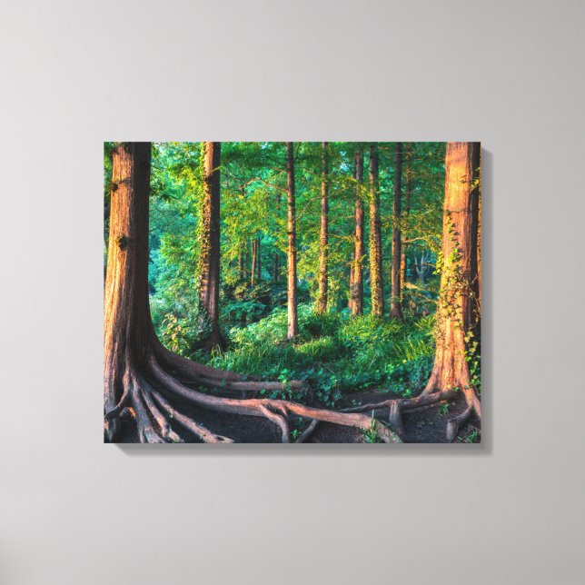 Wald im Sommer Leinwanddruck (Vorderseite)